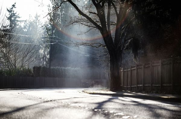 luce del sole,notte,riflessione,strada,la neve,inverno