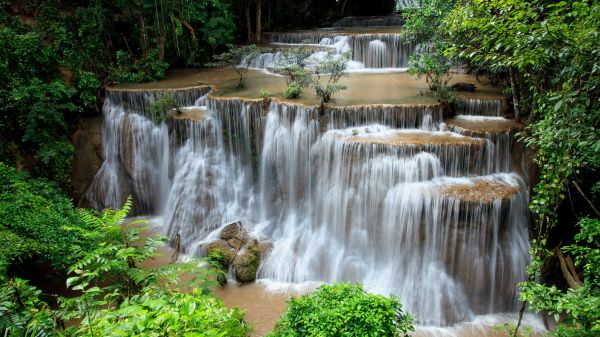 water,plant,water resources,ecoregion,green,fluvial landforms of streams