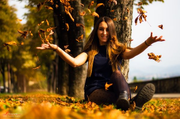 nature,sunlight,fall,leaves,love,grass