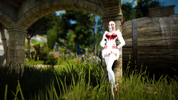 Black Desert,black desert online,mmorpg,blue eyes,bow,lipstick