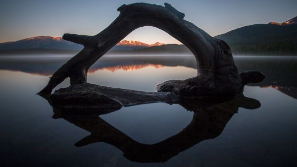 nature,landscape,water,reflection,mountains,driftwood