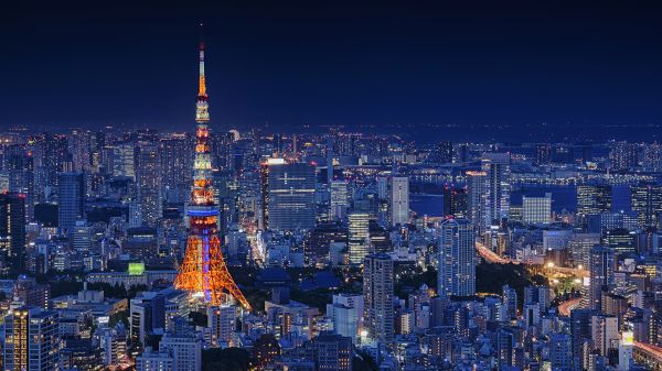 Tokio,Tokyo Tower,panoráma města,světla města,panoráma