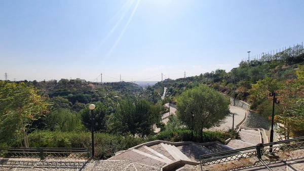 Corrí,naturaleza,ave de rapiña,Palomas,El jardín de las palabras,amanecer