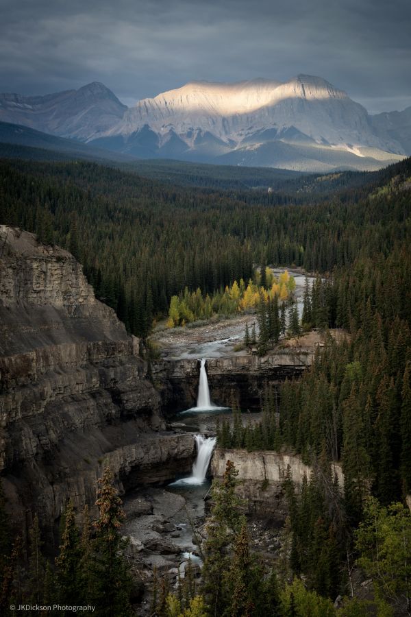 aerial view,portrait display,photography,nature,landscape,trees