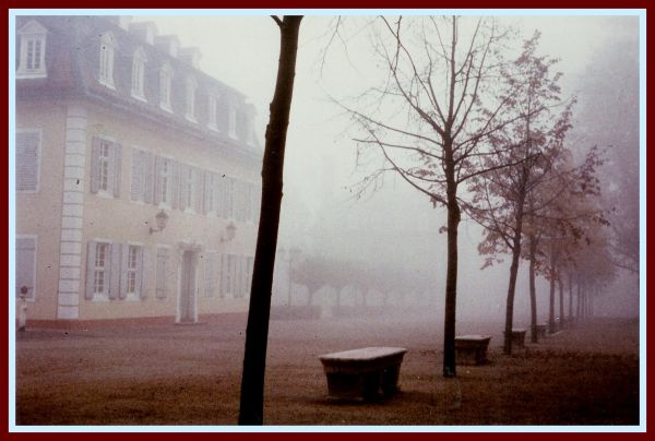 vinter,Tyskland,deutschland,parkere,tåge,analog