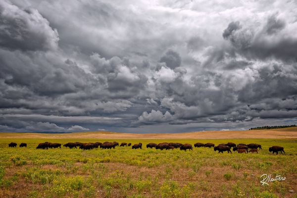 panorama,Colina,natureza,grama,céu,campo