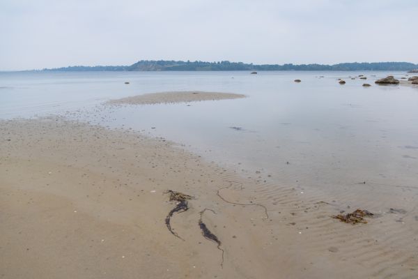 ทะเล,อ่าว,น้ำ,ฝั่ง,ทราย,ชายหาด