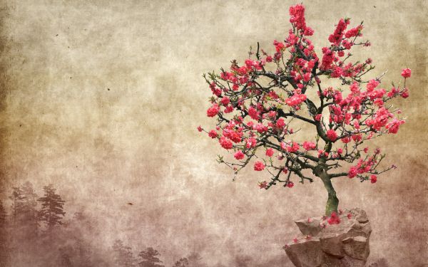 painting,pink flowers,red,branch,texture,blossom