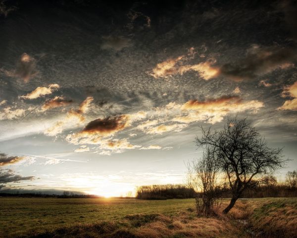 luz solar,panorama,Pôr do sol,natureza,grama,céu