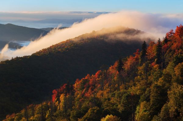 trees,landscape,forest,fall,mountains,sunset