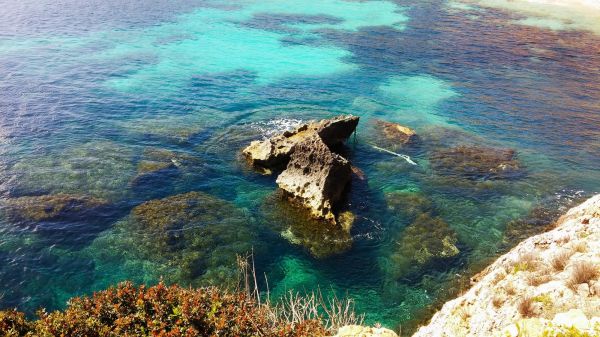 acqua,roccia,mare,natura,costa,subacqueo