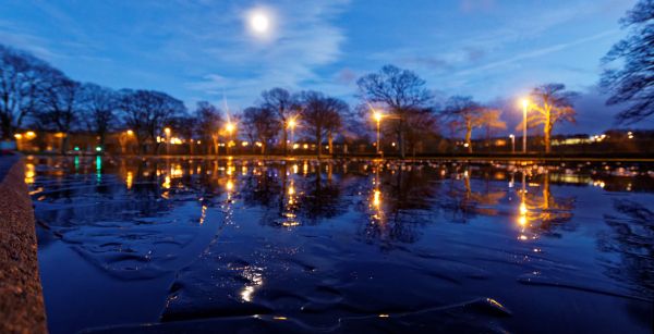 notte, luce del sole, tramonto, acqua, riflessione, parco