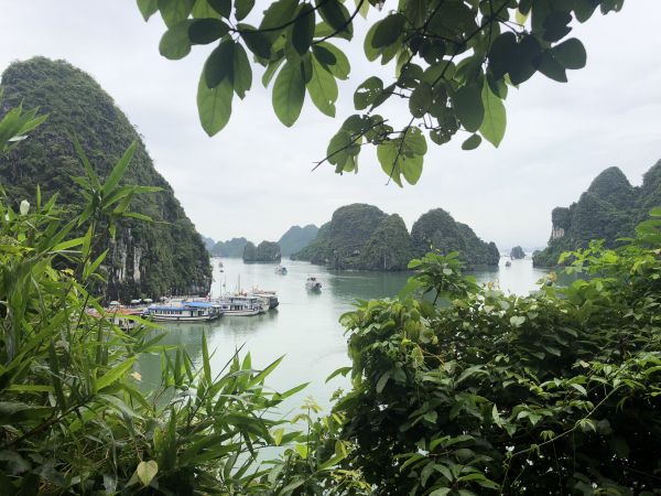 Příroda,Vietnam,Záliv Halong