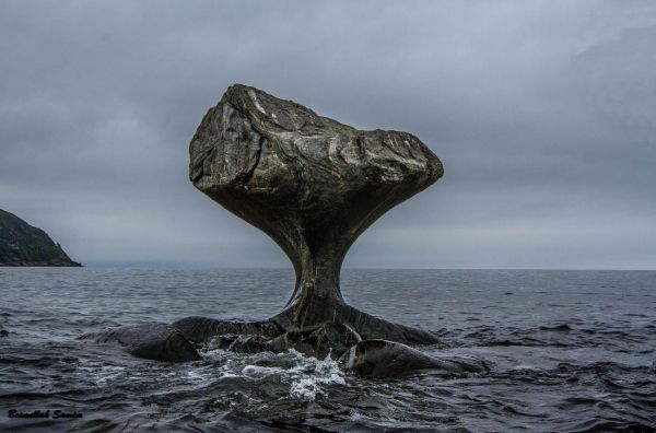 landscape,sea,water,rock,nature,shore