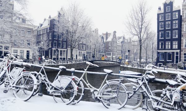 Ámsterdam,Holanda,Países Bajos,Jordano,Gezellig,ciervo