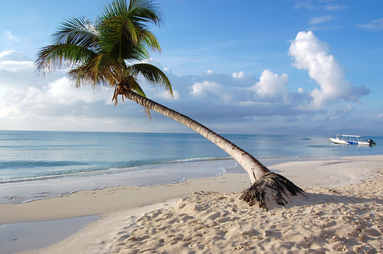 laut, teluk, pantai, pasir, pantai, pantai, tropis, pulau, tanjung, Karibia, Maladewa, liburan, pohon, lautan, gelombang, pulau kecil, tropis, badan air, arecales, keluarga palm, pohon palem