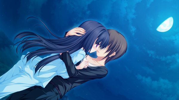 illustration,nuit,Anime,Lune,bleu,couple