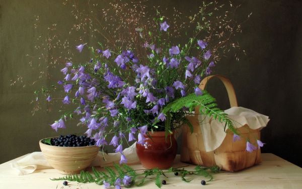 1920x1200 px,flowers,life,blueberries,food,pot