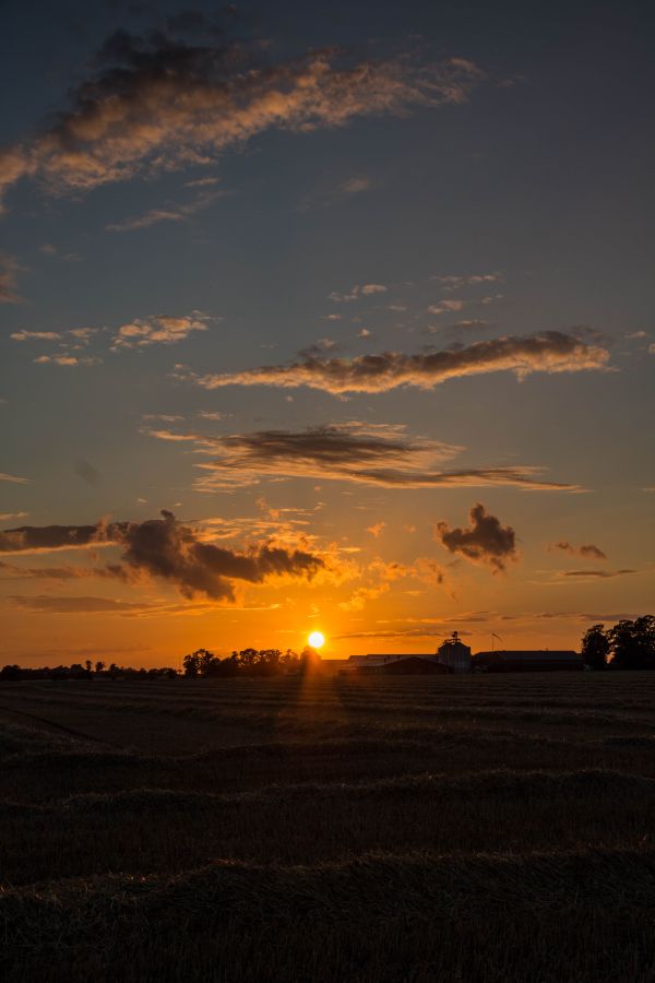 sollys,landskap,solnedgang,hav,himmel,soloppgang