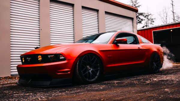 auto,voertuig,Mustang Boss 302,Mustang Car