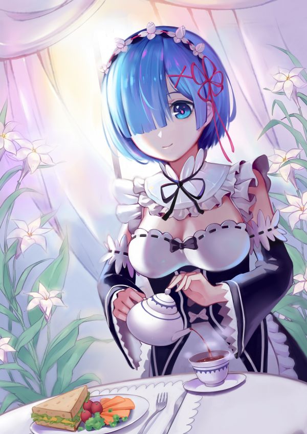 anime,ilustrace,bílé pozadí,kreslená pohádka,Re Zero Kara Hajimeru Isekai Seikatsu,Rem Re Zero