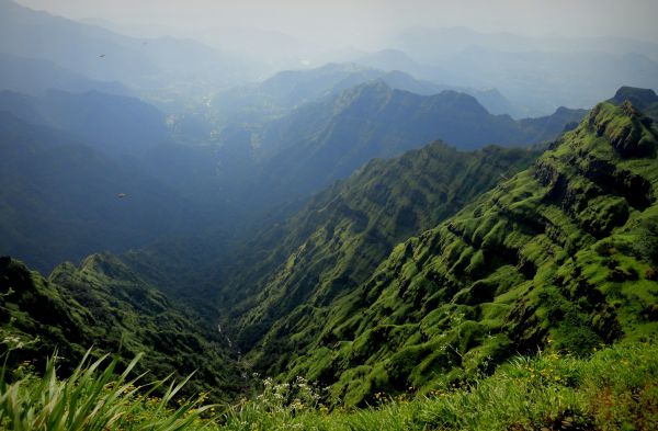 peisaj,pădure,munţi,deal,natură,vale