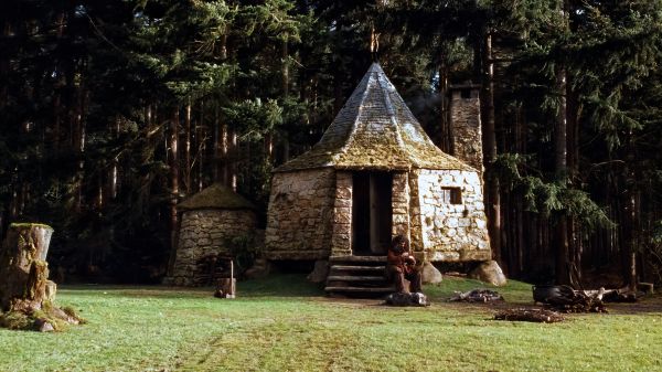 Хижина,Гарри Поттер и Философский Камень,Фотопленки,кино,Rubeus Hagrid,Robbie Coltrane