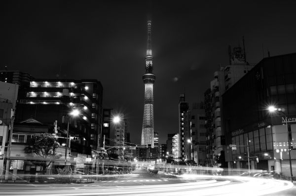 japan,svartvit,stad,gata,stadsbild,gatubelysningen