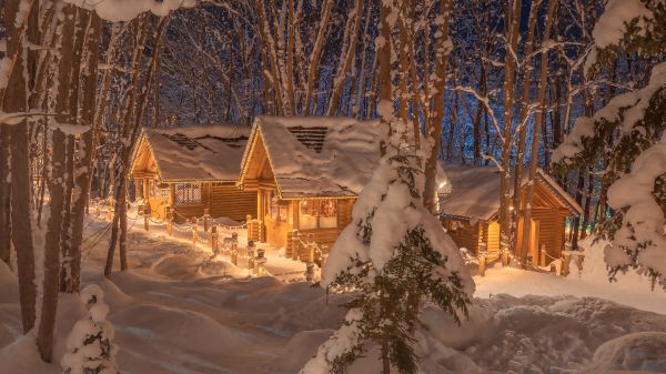 snow,building,world,window,house,twig