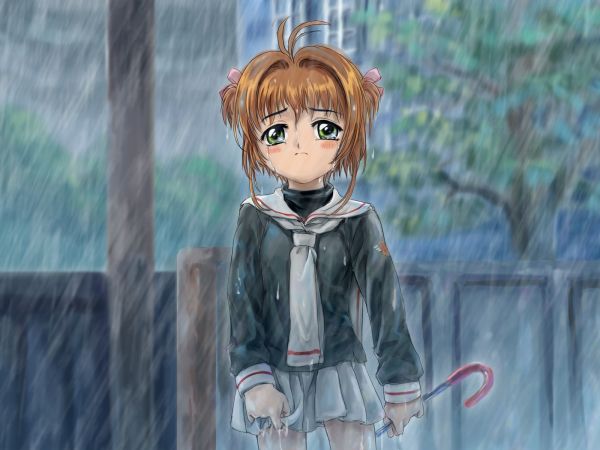 Anime,Kart Captor Sakura,Kinomoto Sakura,yağmur,Ağlamak,Oyuncak