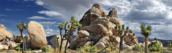 paisaje,parque,parque Nacional,rock,naturaleza,Valle