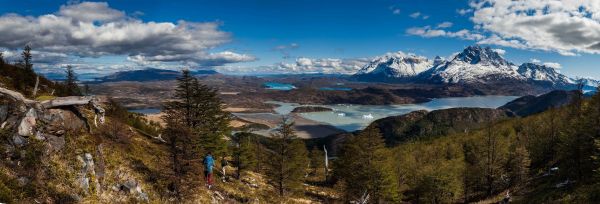 Árboles,paisaje,bosque,montañas,lago,naturaleza