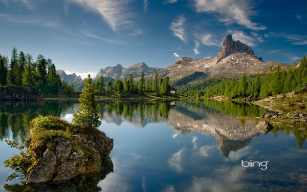 Árvores,panorama,montanhas,floresta,lago,agua