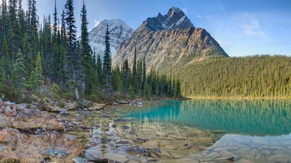 nature,landscape,trees,forest,lake,rocks