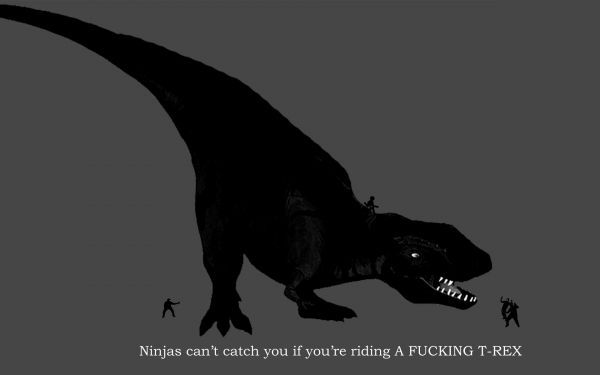 ninjaer,humor,ninjaer kan t fange dig, hvis,dinosaurer,Tyrannosaurus rex