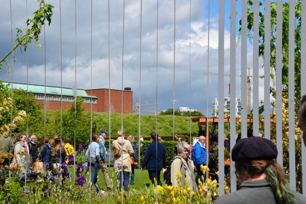 jardin,ville,ciel,les plantes,des nuages,gens