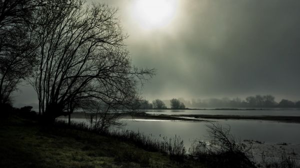 flod,riviere,frankrike,Loire,fleuve,paysage