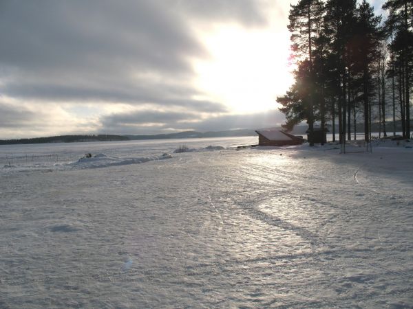 Crosta, inverno, la neve, campo, brillare, copertina