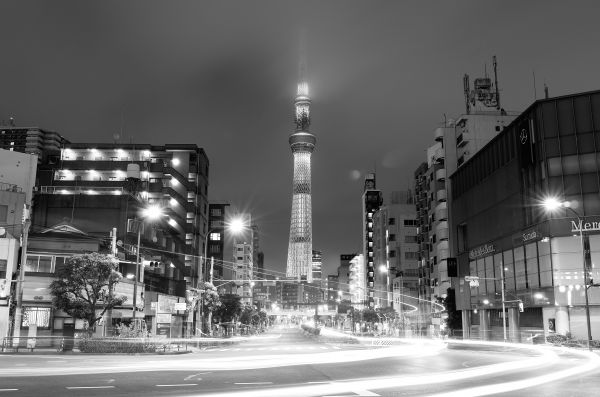 japan,svartvit,stad,gata,stadsbild,natt