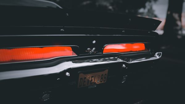 uhnúť,1969 Dodge Charger RT,auto,Forza Horizon 4,video hry,charger RT