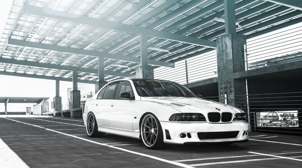 car,BMW,vehicle,sports car,white,BMW M5