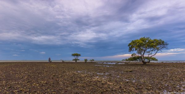 panorama,mar,céu,campo,horizonte,Pedras