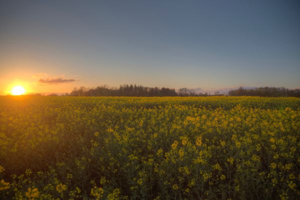 ljus, solnedgång, himmel, Färg, vacker, moln