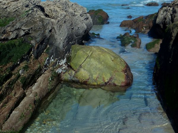 sea,bay,water,rock,shore,reflection