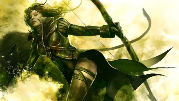 1920x1080 px,karya seni,Guild Wars 2,Video game