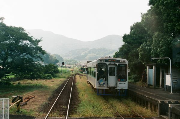 tren,ferrocarril,césped,bosque,montañas