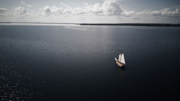 Tàu buồm,Ba Lan,thuyền buồm,drone photo