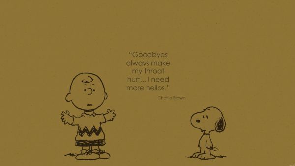 2560x1440 px,Charlie Brown,Trích dẫn,Snoopy