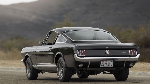 1920x1080 px,auto,Ford Mustang Shelby,Shelby GT350