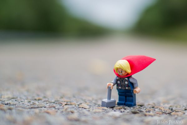 leksaker,fotografi,LEGO,Thor,Marvel Comics,blomma